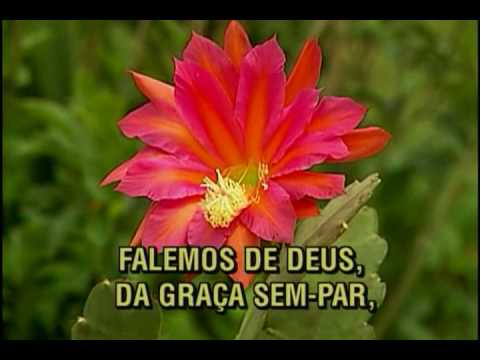 Hinário Adventista 010 - Louvemos o Rei