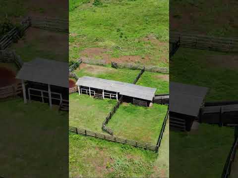 Fazenda em Roraima de 650 hectares com 300 de pasto tá pedindo 7.500 por hectares