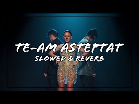 Nicole Cherry x rares x Bogdan DLP - Te-am așteptat (Slowed + Reverb)