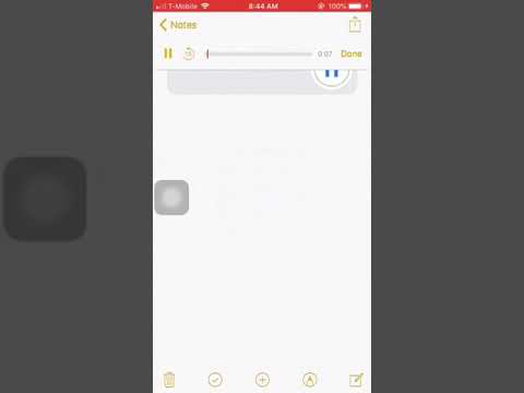 Dumpstreet Montana X Back Down