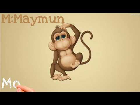 Beginner Turkish Words(Useful Vocabulary)|What are the basic Turkish Alphabets Meaning|SomeNewWords