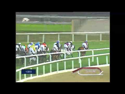 HH Sheikh Abdullah Bin Khalifa Al Thani Trophy 2015