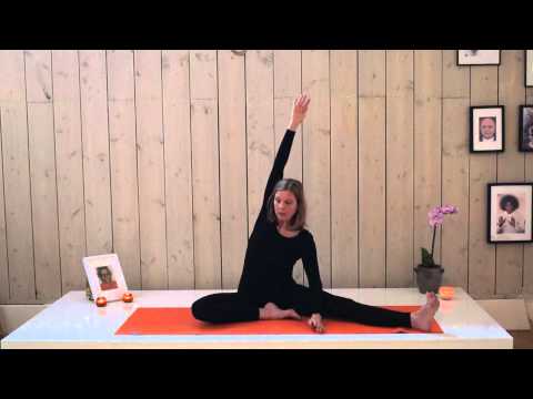 Gedraaide hoofd knie houding uit Transformatieve Yoga