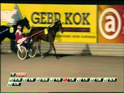 Be my Friend wint op Victoria Park Wolvega