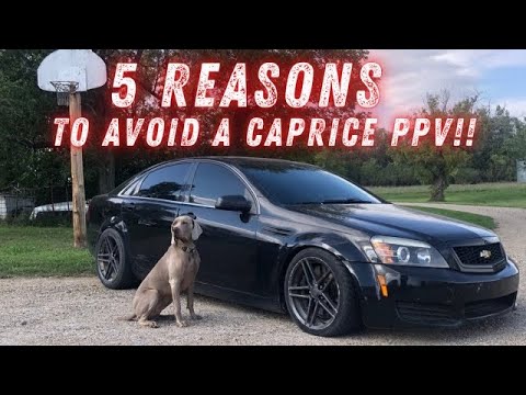 5 Reasons NOT To Buy a Caprice PPV!