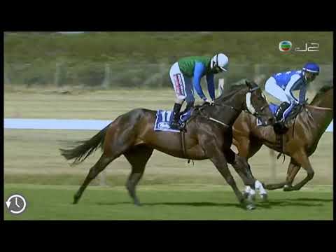 2021飛行冠軍錦標 2021 Cape Flying Championship G1