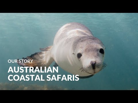 Australian Coastal Safaris: Our Story | Australian Wildlife Journeys