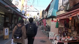 preview picture of video 'Japan Trip 2015 Tokyo Walking in Yanaka ginza  Shopping Street'