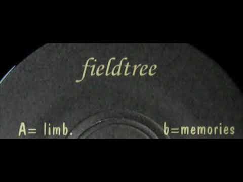 fieldtree - + summer - winter girl