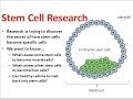 Embryonic Stem Cells & their Controversy (unbiased view)