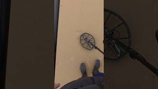 Minelab Manticore et son grand disque ils contribuent activement à la dépollution des plages !