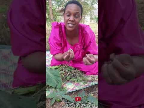 Ensogasoga #Olumwa lubaale oba empewo z'ekika @nalongonansamba