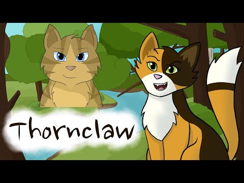 Thornclaw – Sunny's Spiel | Warriors Analysis