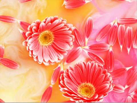 Le Coeur Dans Les Etoiles - Richard Clayderman