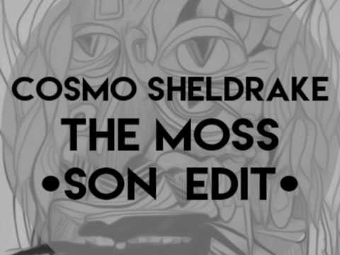 The Moss - Cosmo Sheldrake [Son Edit]