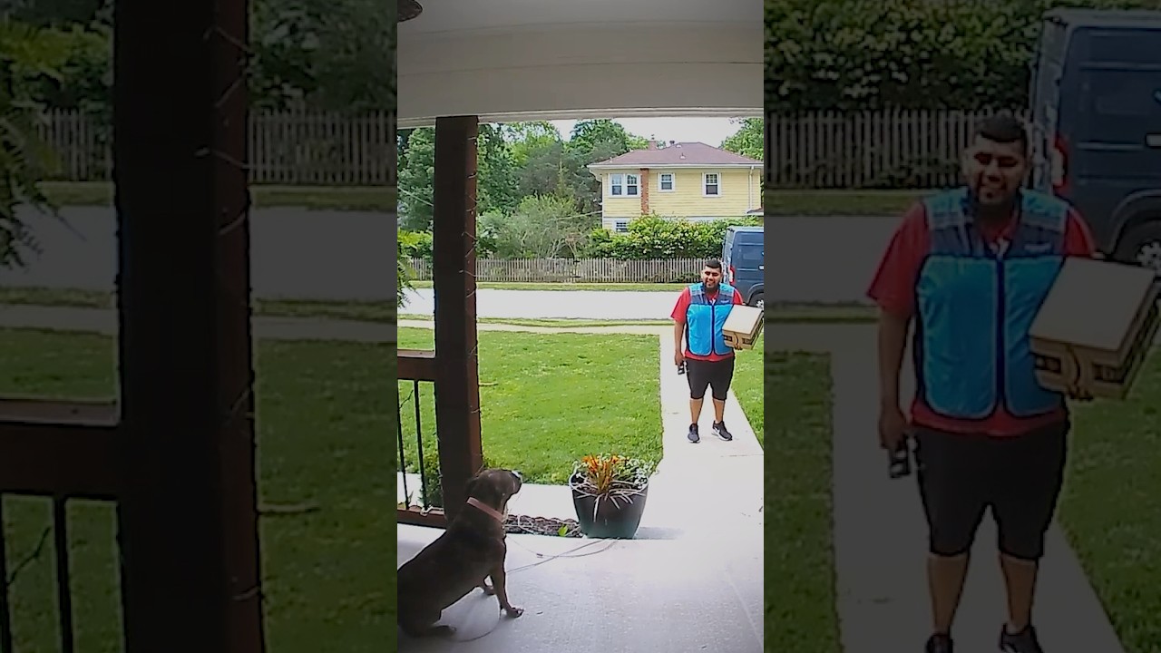 Nervous Delivery Guy Meets A Pal