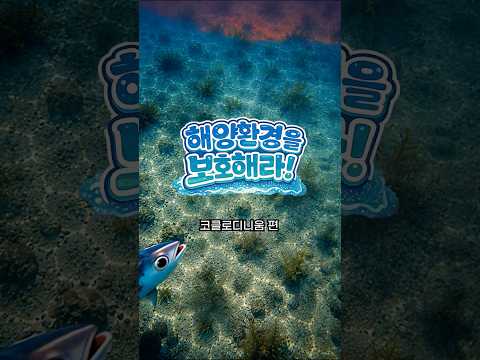 해양환경공단 AI 숏폼·바이럴 사례