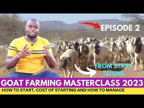 , title : 'Cost of Starting Goat Farming in 2023 From Beginning To End; Episode 2'