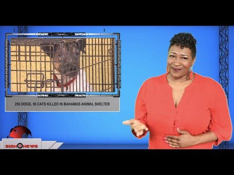 Sign1News 9.9.19 - News for the Deaf community powered by CNN in American Sign Language (ASL).