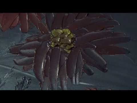 Absztrakt olajfestés (Virágok)