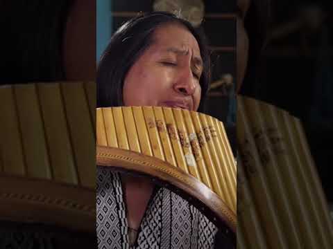 Hallelujah Golden Pan Flute