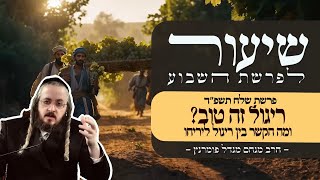 הרב מנחם מנדל פומרנץ | שיעור פרשת שלח תשפ"ד • ריגול זה טוב? ומה הקשר בין ריגול ליריחו •