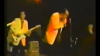 Stevie Ray Vaughan  and The Fabulous Thunderbirds - The Crawl (Live 1984)