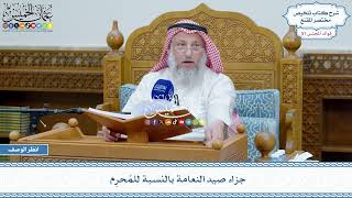 2639 - جزاء صيد النعامة بالنسبة للمُحرِم - عثمان الخميس