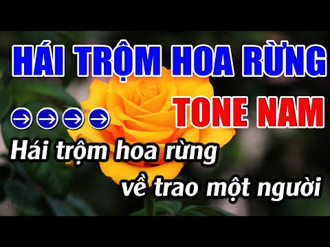 Hái Trộm Hoa Rừng Karaoke Tone Nam Karaoke  Lâm Beat - Beat Mới
