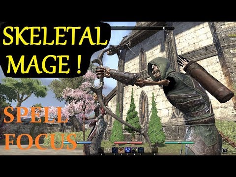 ESO SKELETAL MAGE! - Necromancer Guide (Part 6) Spell Focus Series