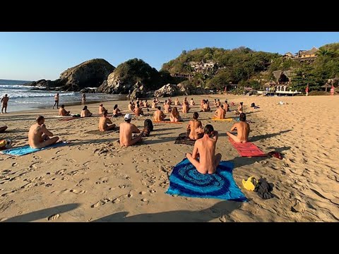 Tráiler Amor En Playa Sur [WEB-DL] 2021