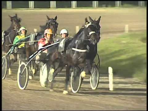 Trotto 13/11/2014 - 6° corsa