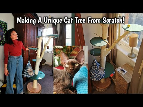 I Made A Cat Tree Out Of Real Branches For My New Kitten!