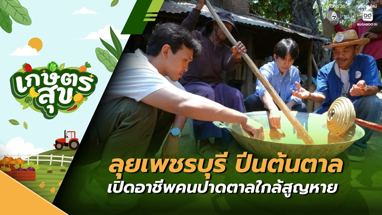 เกษตรสุข EP.15 | ลุยเพชรบุรี ปีนต้นตาล เปิดอาชีพคนปาดต