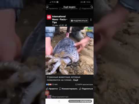 Секретни камера