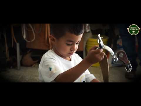 HISTORY OF THE COUSINS OF JALISCO