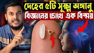 Download lagu ক্ষুদ্র অঙ্গ, বিশাল কর্মযজ্ঞ—মানবদেহের অবিশ্বাস্য রহস্য! Beautiful Islam mp3 Download lagu ক্ষুদ্র অঙ্গ, বিশাল কর্মযজ্ঞ—মানবদেহের অবিশ্বাস্য রহস্য! Beautiful Islam mp3
