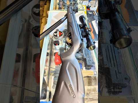 Urban 22 from Gamo USA, Lightweight, Accurate, VERY Affordable - Airgun Review by AirgunWeb