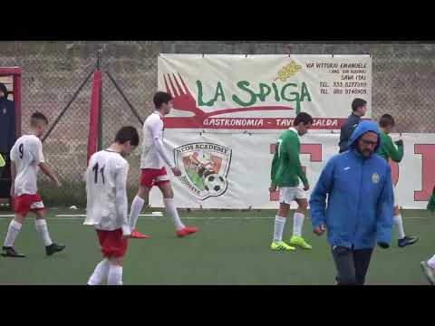 Insulti alla giovane arbitra, il mister se la prende con i genitori