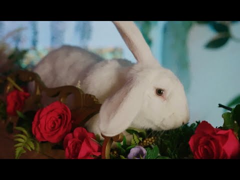 Heather Riffel - He Loves Me Not (Official Music Video)