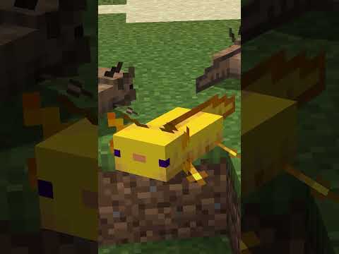 There's a Mudkip in MInecraft?