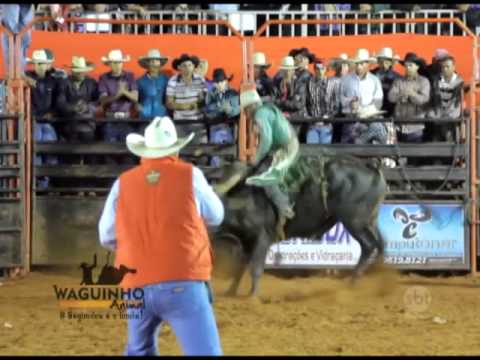 Waguinho Animal - Final Touro