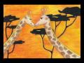 Video For One Million Giraffes