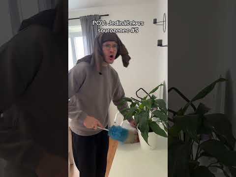 JEDINÁČEK VS SOUROZENEC #5 #meme