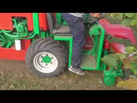 Giampi nut harvester Machinery