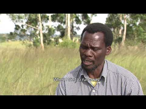 Checkpoint EP 253 e TV Tonight