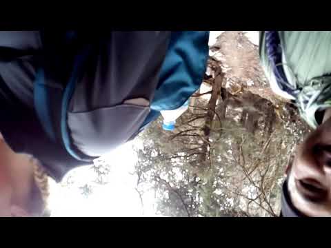 Amadeja is singing a resamfiriri.