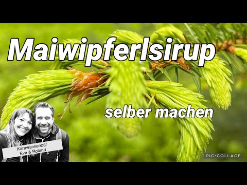 Maiwipferlsirup