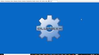 BlueSeer YouTube Video