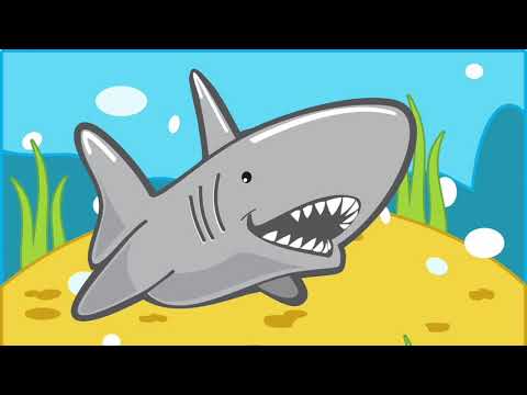 Australian Animals A - Z